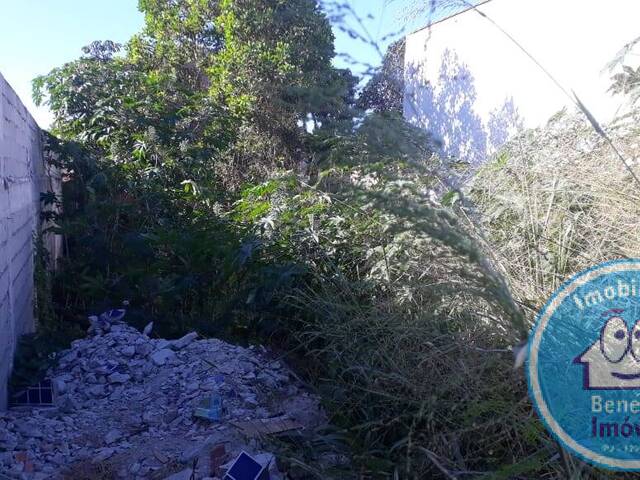 Terreno para Venda em Santa Cruz Cabrália - 1
