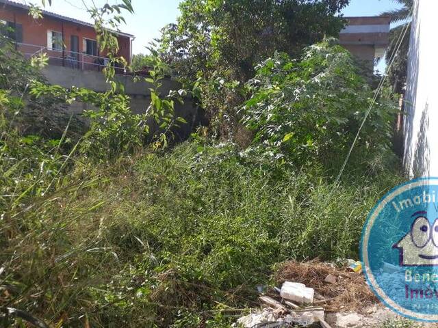 Terreno para Venda em Santa Cruz Cabrália - 2