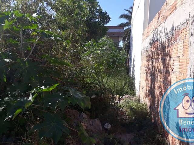Terreno para Venda em Santa Cruz Cabrália - 3