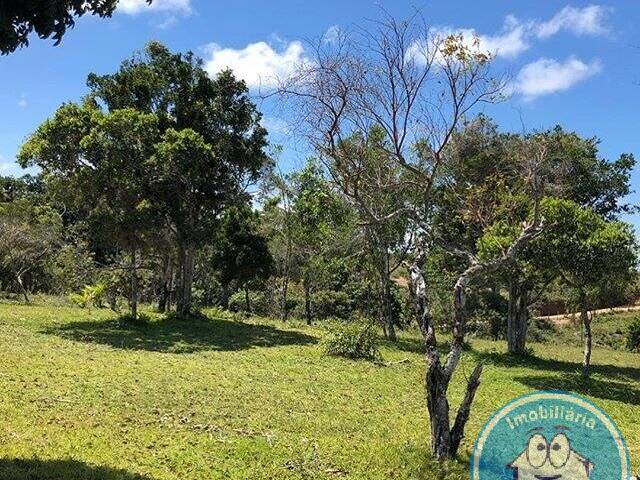 #1931 - Areas de grande porte para Venda em Porto Seguro - BA - 3