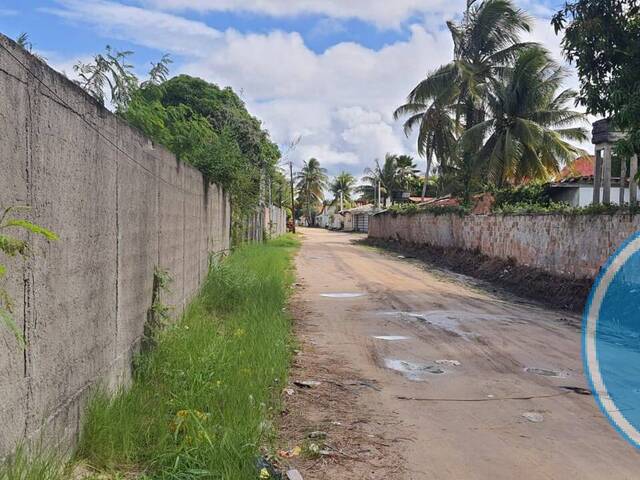 #2054 - Terreno para Venda em Santa Cruz Cabrália - BA - 2