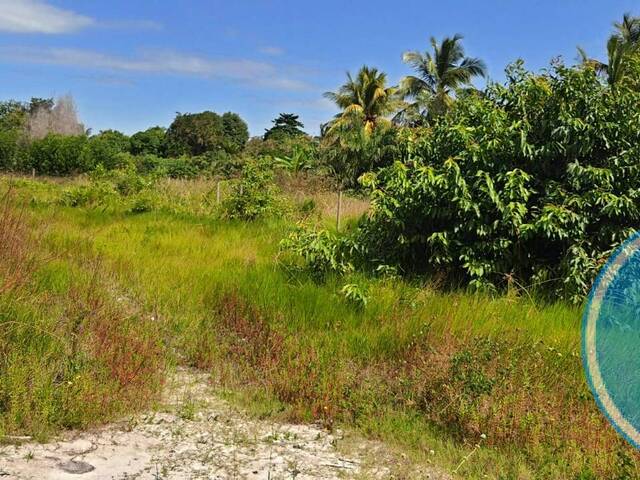 #2055 - Terreno para Venda em Santa Cruz Cabrália - BA - 2