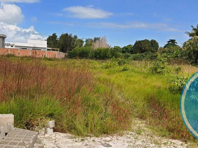 #2056 - Terreno para Venda em Santa Cruz Cabrália - BA - 3