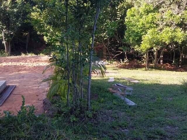 #2070 - Terreno para Venda em Porto Seguro - BA - 2