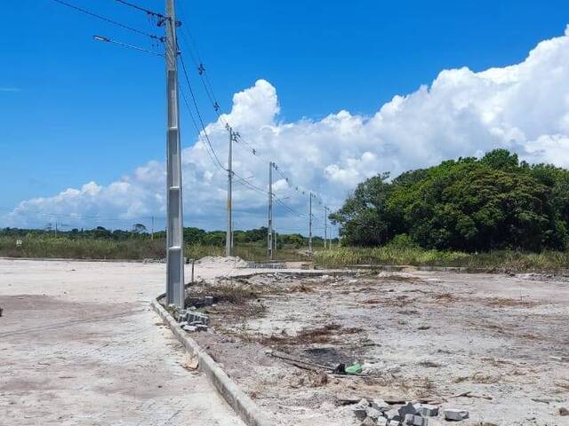 #2100 - Areas de grande porte para Venda em Santa Cruz Cabrália - BA - 2