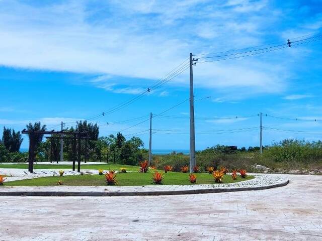 #2100 - Areas de grande porte para Venda em Santa Cruz Cabrália - BA