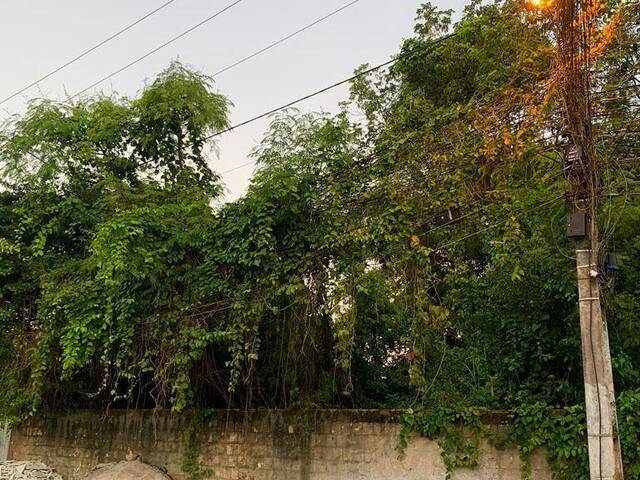 #2118 - Terreno para Venda em Porto Seguro - BA - 3