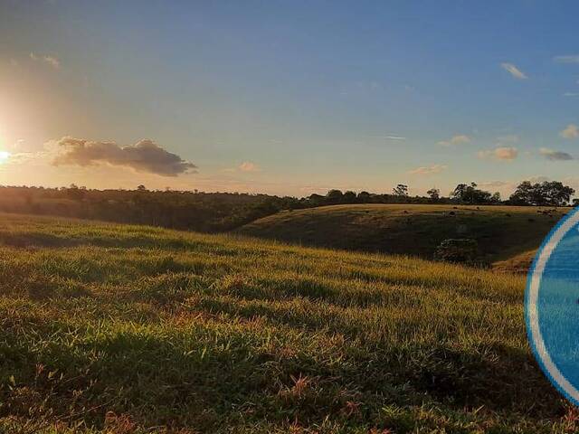 #2142 - Fazenda para Venda em Santa Cruz Cabrália - BA - 3