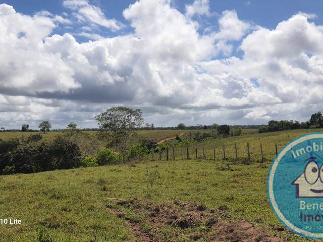 #2142 - Fazenda para Venda em Santa Cruz Cabrália - BA - 2