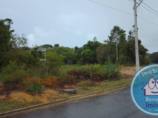 #2280 - Lotes para Venda em Porto Seguro - BA - 3