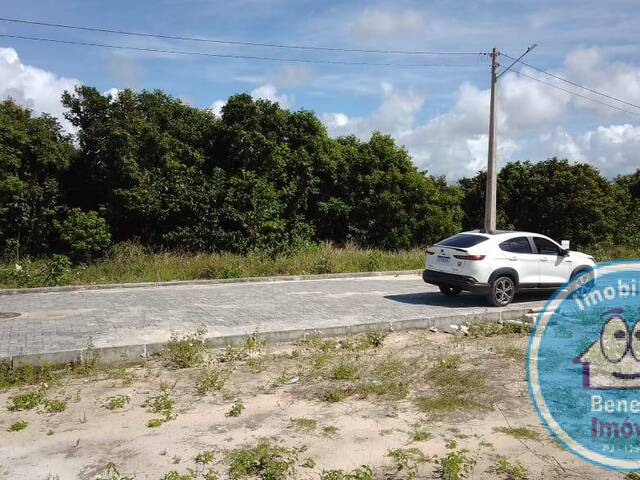 #2309 - Lotes para Venda em Santa Cruz Cabrália - BA - 2