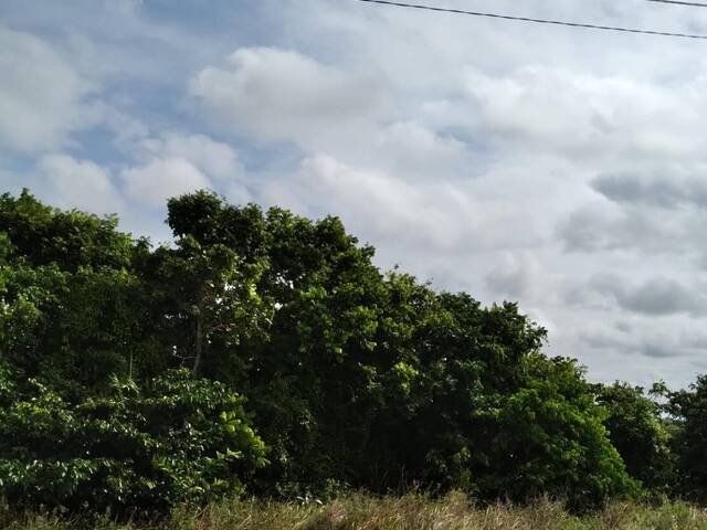 #2309 - Lotes para Venda em Santa Cruz Cabrália - BA - 3