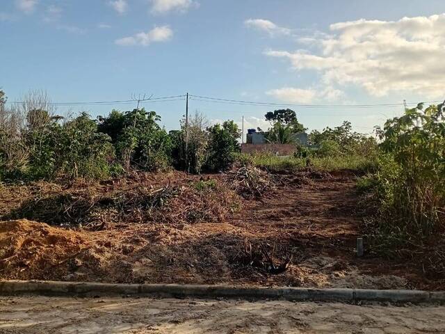 #2312 - Lotes para Venda em Porto Seguro - BA - 2