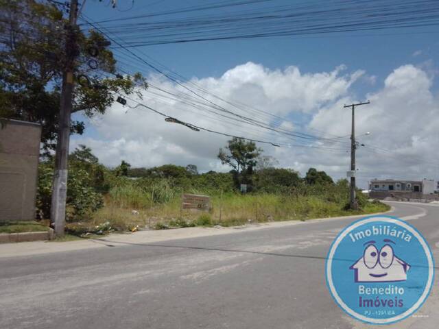 #2378 - Lotes para Venda em Porto Seguro - BA - 3