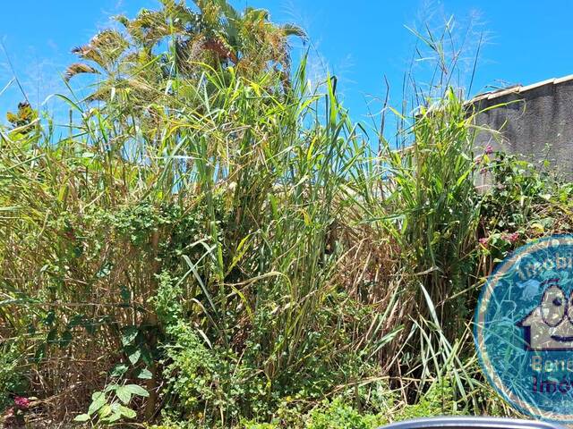 #2380 - Lotes para Venda em Porto Seguro - BA - 2