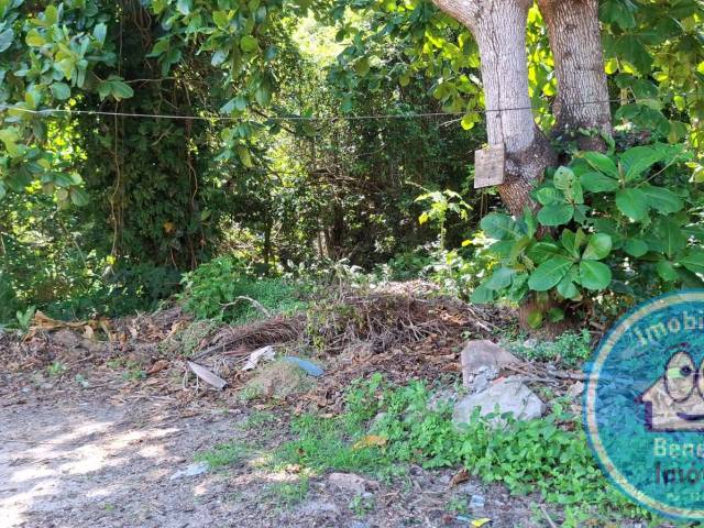 #2390 - Lotes para Venda em Porto Seguro - BA - 2