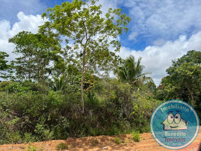 #2396 - Areas de grande porte para Venda em Porto Seguro - BA - 1