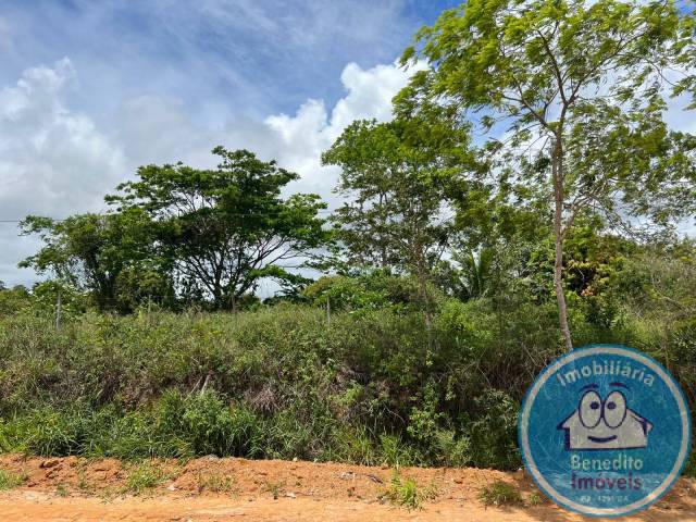 #2396 - Areas de grande porte para Venda em Porto Seguro - BA - 2