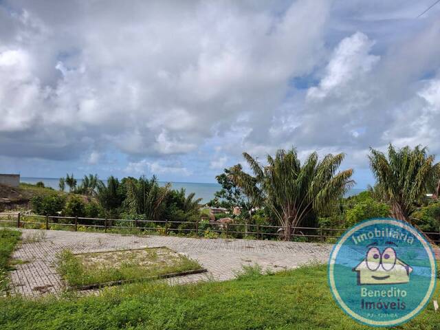 #2413 - Lotes para Venda em Santa Cruz Cabrália - BA - 3