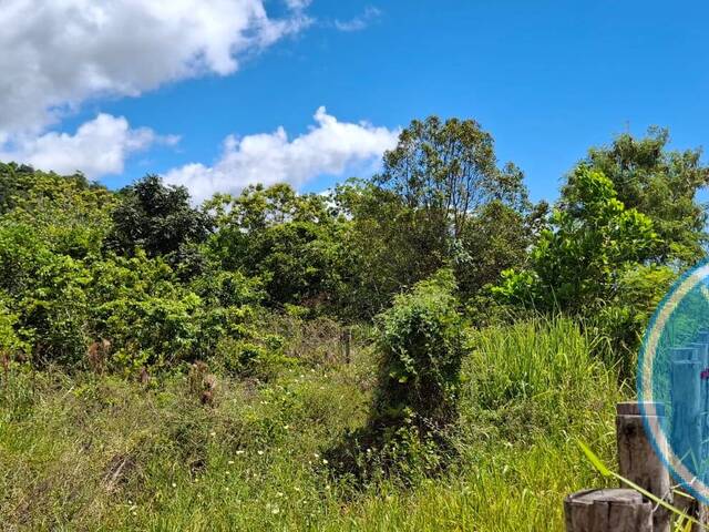 #2417 - Terreno para Venda em Porto Seguro - BA - 3