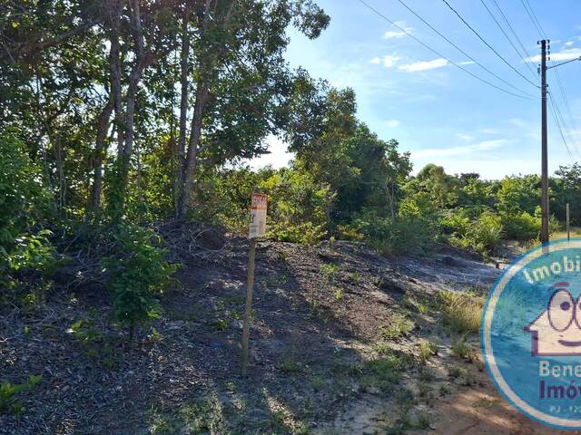 #2436 - Terreno para Venda em Santa Cruz Cabrália - BA - 1