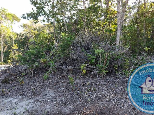 #2436 - Terreno para Venda em Santa Cruz Cabrália - BA - 3