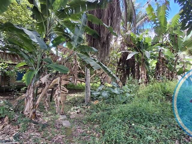 #2463 - Terreno para Venda em Porto Seguro - BA - 1