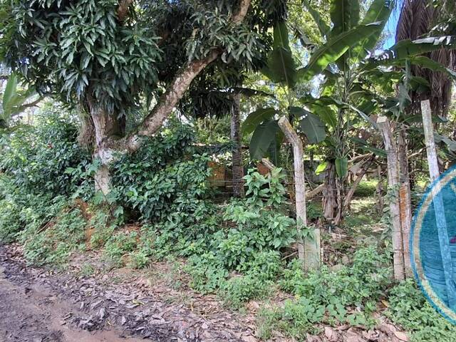 #2463 - Terreno para Venda em Porto Seguro - BA - 2