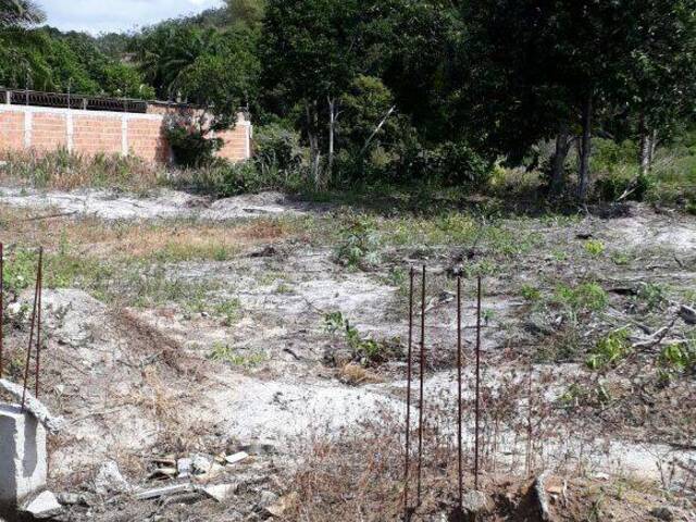 Terreno para Venda em Porto Seguro - 1