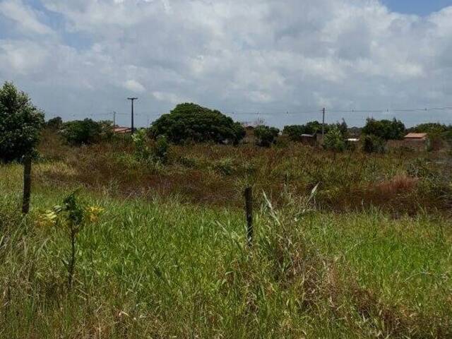 #1587 - Terreno para Venda em Porto Seguro - BA