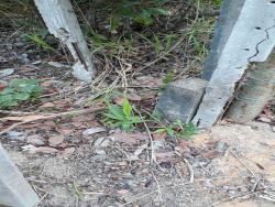 Lotes para Venda em Porto Seguro - 1