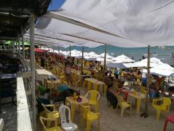 Barraca de Praia para Venda em Santa Cruz Cabrália - 2