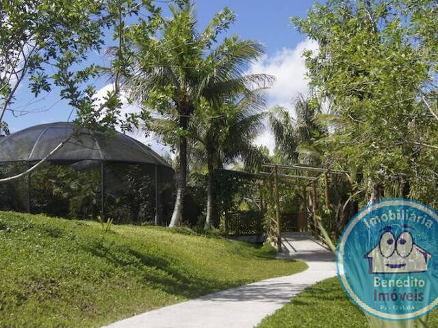 #2262 - Fazenda para Venda em Porto Seguro - BA - 1