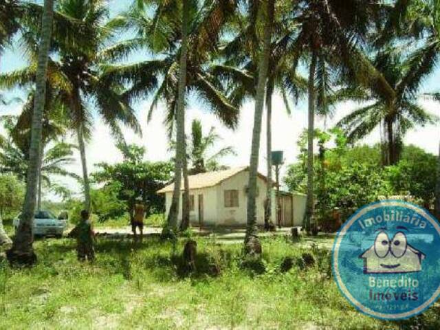 #815 - Sítio para Venda em Santa Cruz Cabrália - BA