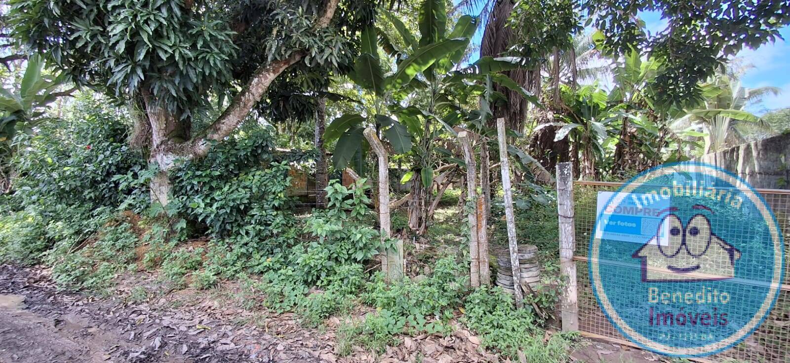 Terreno, 741 m² - Foto 4